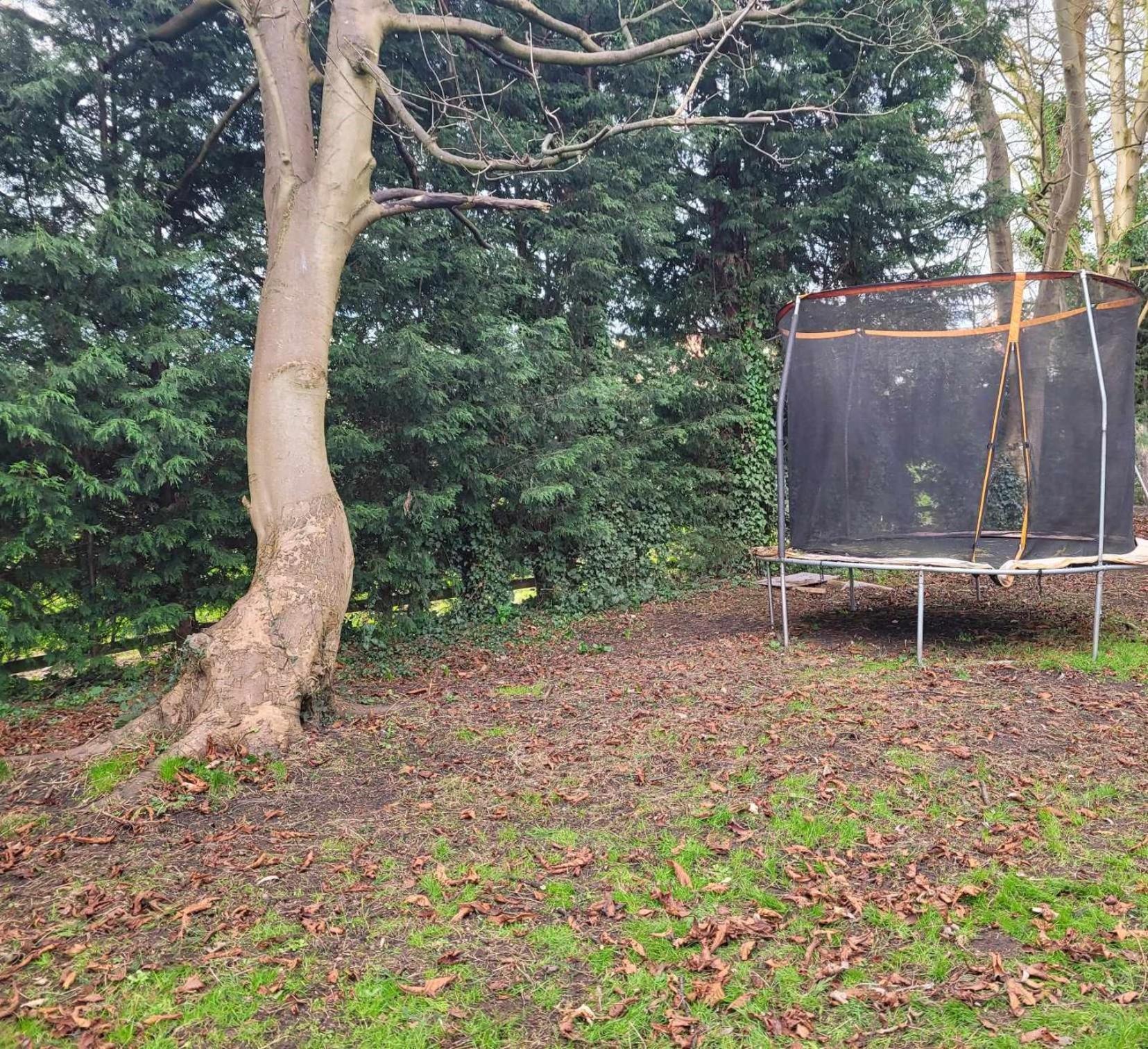 17Th-Century One Bed Studio With Parking & Garden! Elkesley Exterior photo